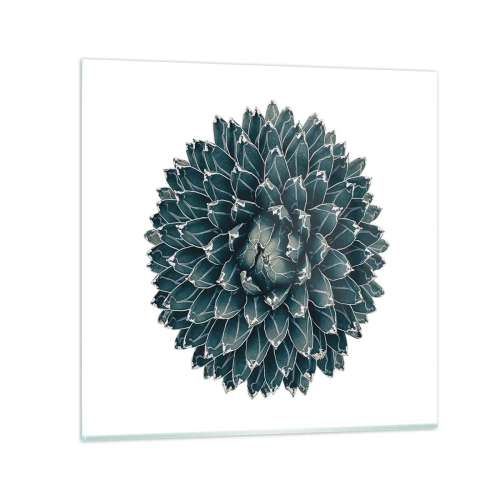 Quadro em vidro - Estrela do Deserto - 50x50 cm