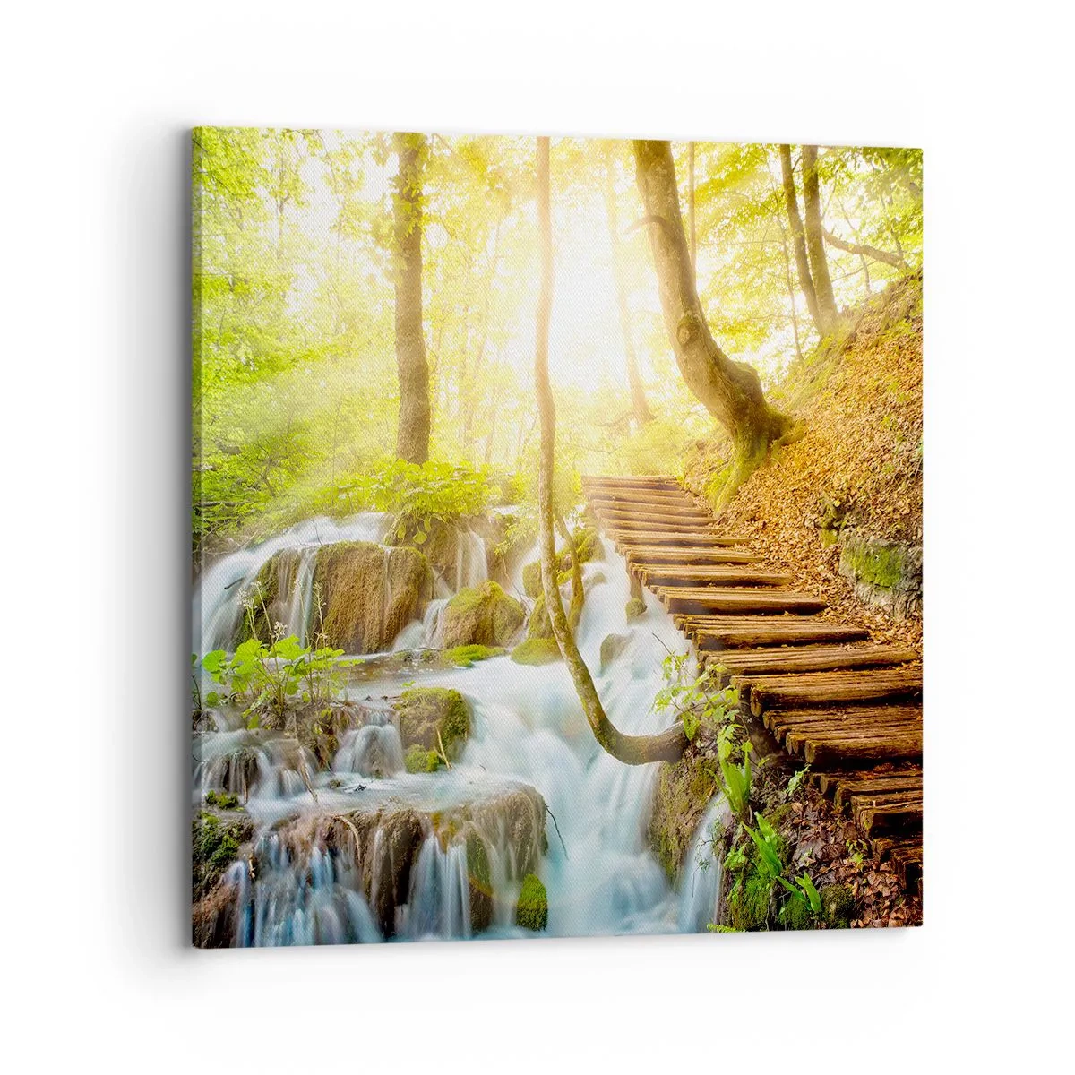 Quadro em tela - O desejado refresco - 70x70 cm