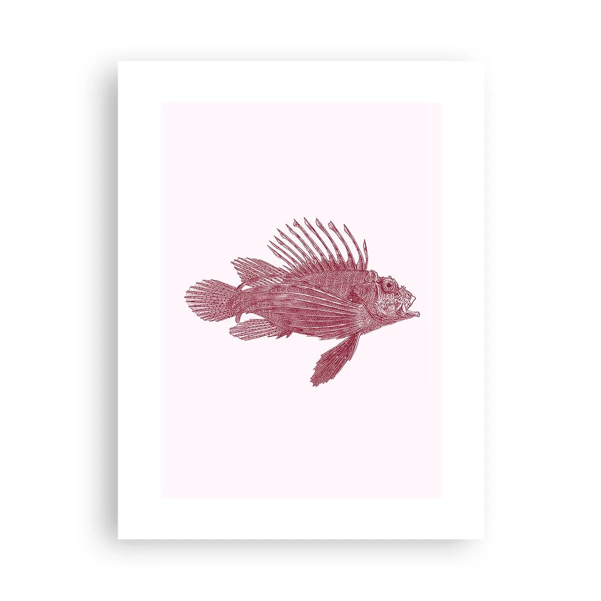 Pôster - Um habitante de águas exóticas - 30x40 cm