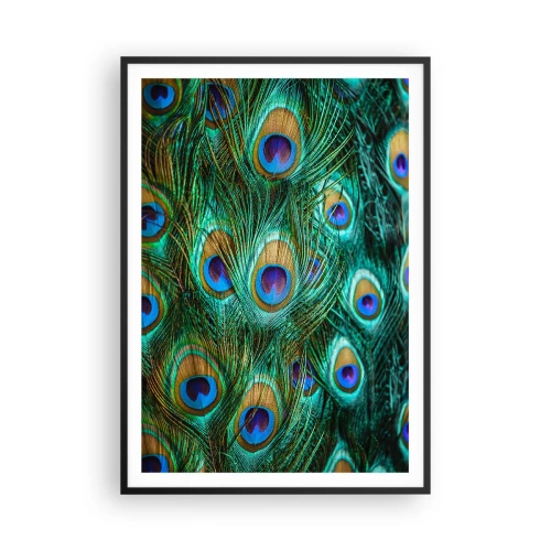 Pôster com moldura preta - Um olhar de pavão - 70x100 cm