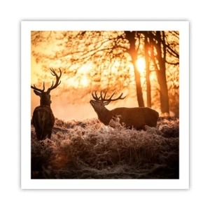 Pôster - O sonho do caçador - 60x60 cm