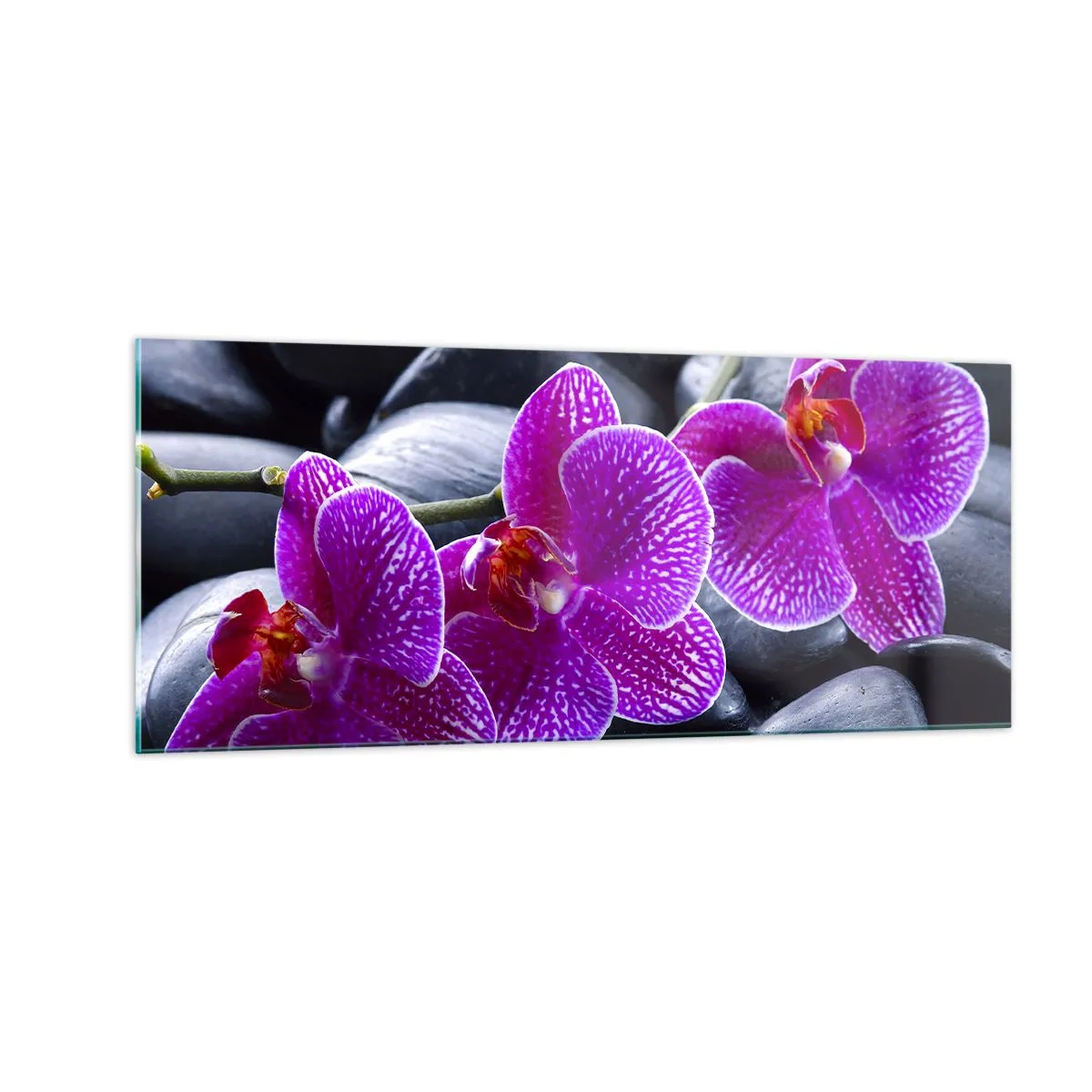 Quadro em vidro - As pedras de iluminaram de deleite - 100x40 cm
