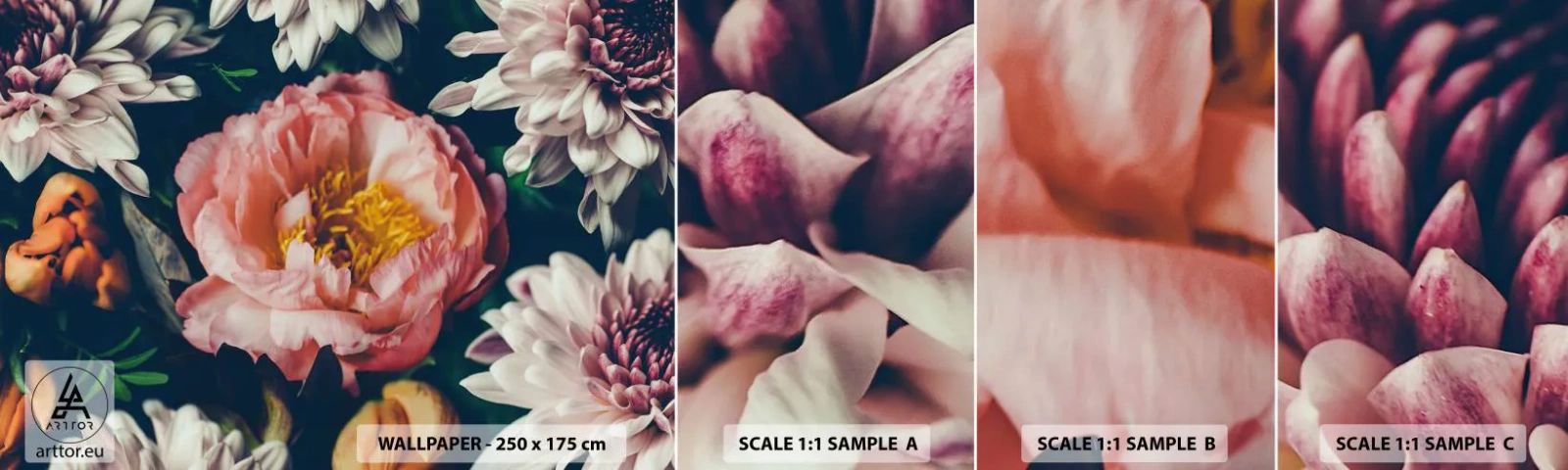 Amostra de Papel de Parede Standard Eco - Com o esplendor barroco - Flores, Peônia, Buquê de flores - 100x30 cm