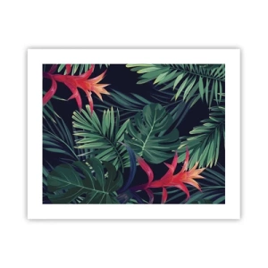 Pôster - Queimar em verde - 50x40 cm