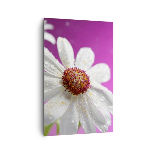 Quadro em tela - Modesto em sua beleza - 80x120 cm