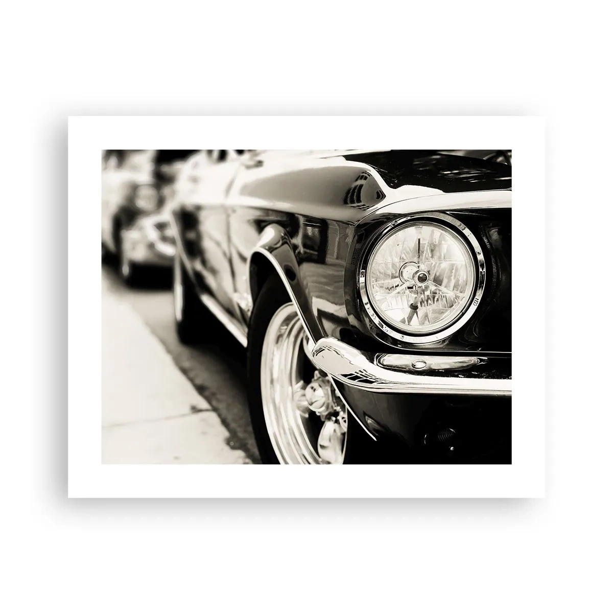 Pôster - Brilho permanente - 50x40 cm