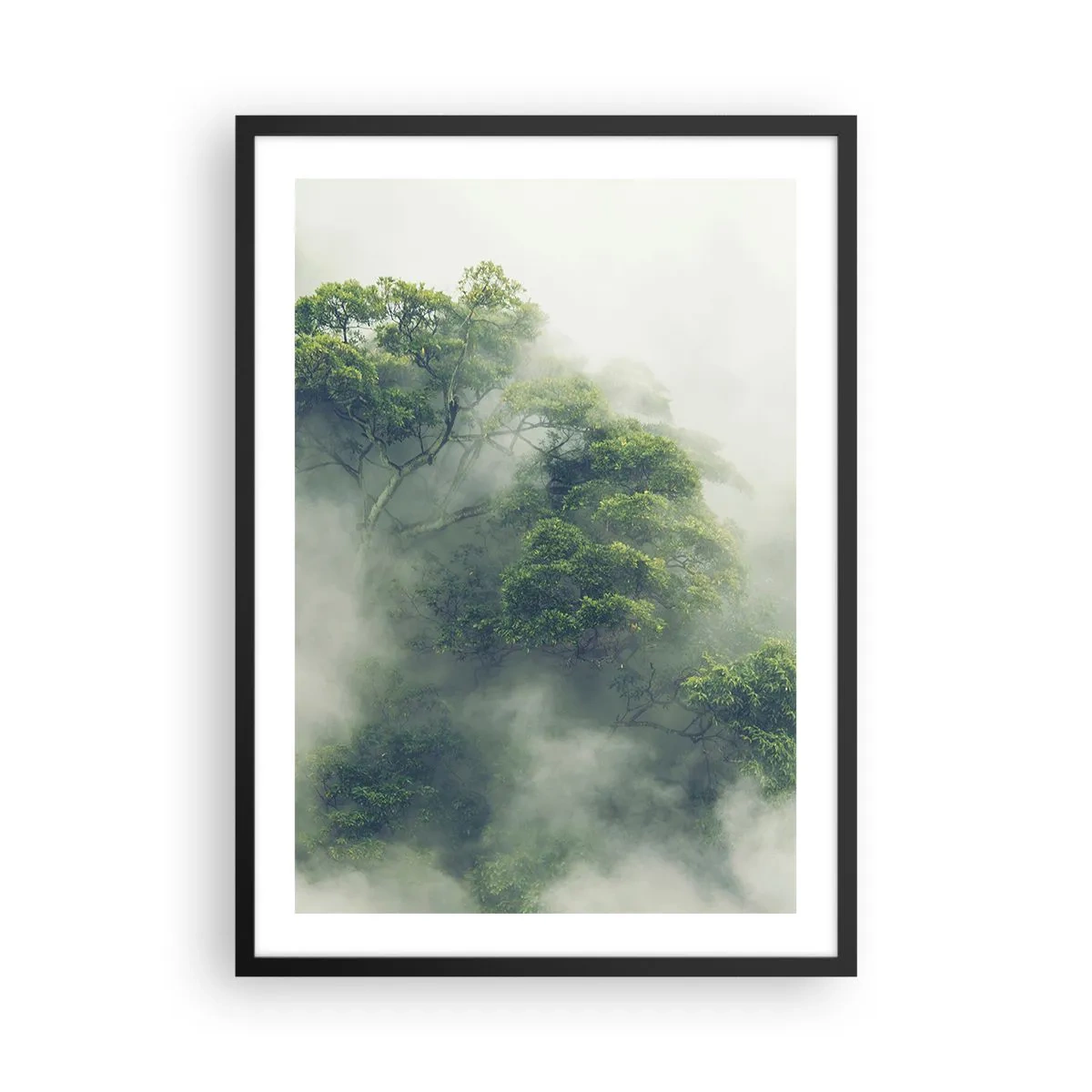 Pôster com moldura preta - Copas verdes de árvores escondidas em uma névoa espessa e misteriosa - 50x70cm - Envolto em neblina - Decoração de parede moderna para a sala de estar e quarto ARTTOR