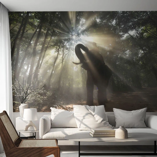 Papel de Parede Standard Eco - Sob a estrela da sorte - Paisagem, Elefante, Selva - 350x256 cm