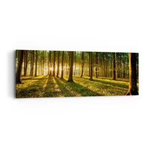 Quadro em tela - Fotografia de todas as primaveras - 90x30 cm