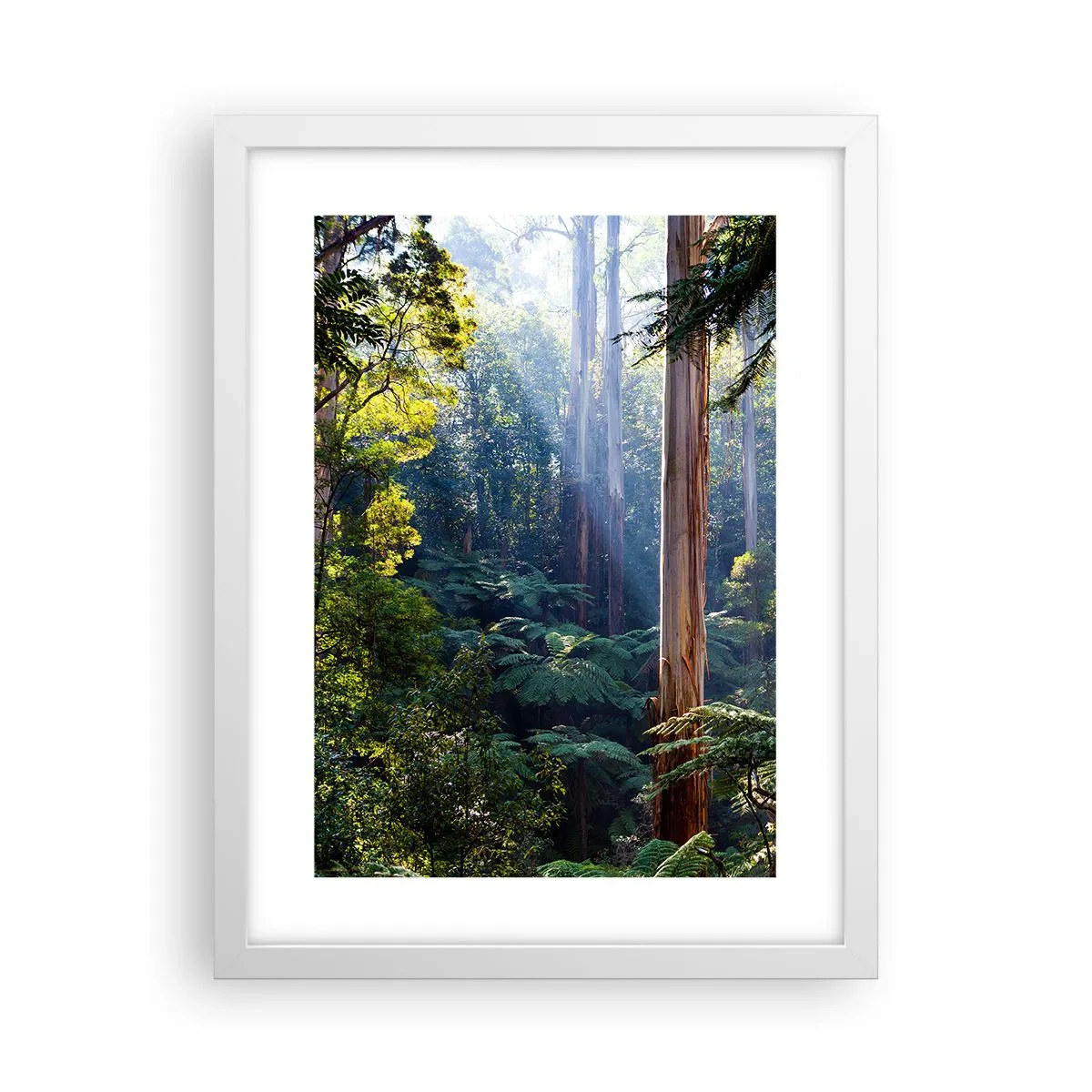 Pôster em moldura branca - Um conto de fadas da floresta - 30x40 cm