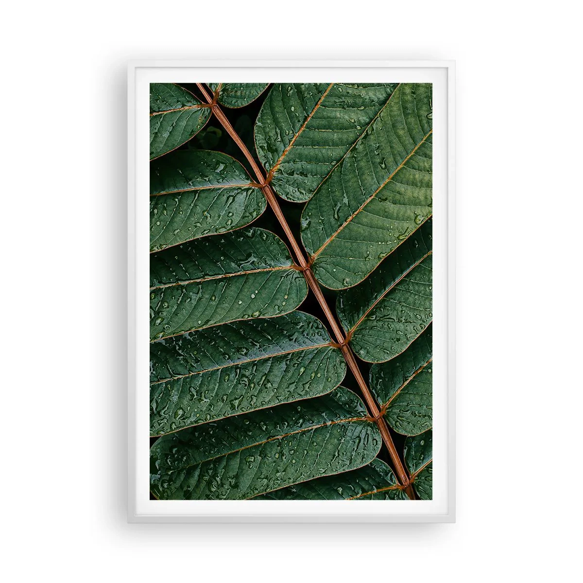 Pôster em moldura branca - Num ritmo verde - 70x100 cm