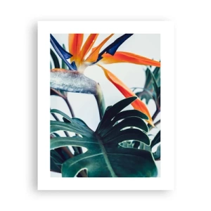 Pôster - Arbusto de passarinho - 40x50 cm