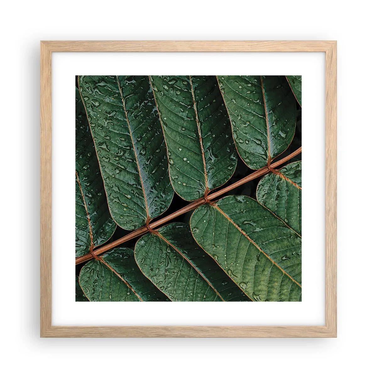 Pôster com moldura de carvalho claro - Num ritmo verde - 40x40 cm