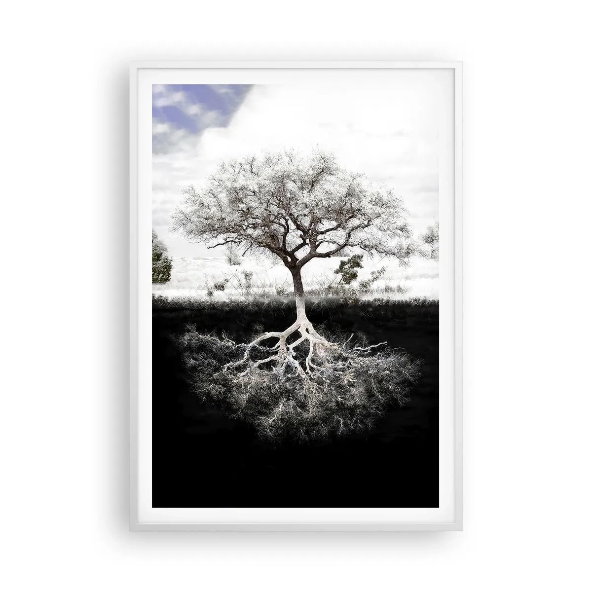 Pôster em moldura branca - Descobrir a natureza do mundo - 70x100 cm