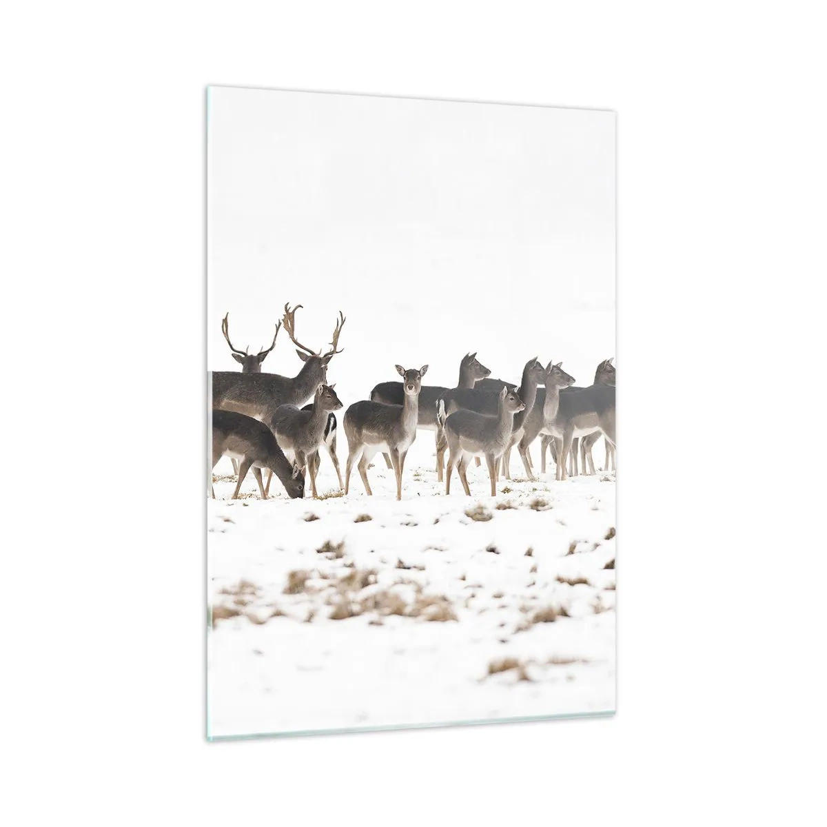 Quadro em vidro - O Natal se aproxima? - 50x70 cm