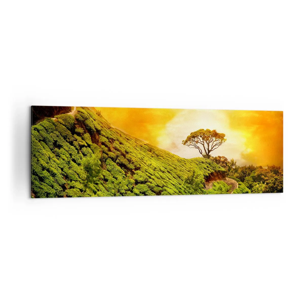 Quadro em tela - Um caminho sinuoso, uma encosta verde - 160x50 cm