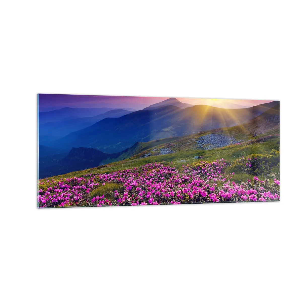 Quadro em vidro - …Cheiro de pinheiros e ervas da montanha - 100x40 cm