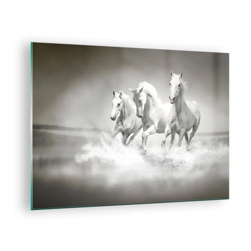 Quadro em vidro - Três cavalos brancos galopando pela água - 70x50cm - Loucura branca - Decoração de parede moderna para a sala de estar e quarto ARTTOR
