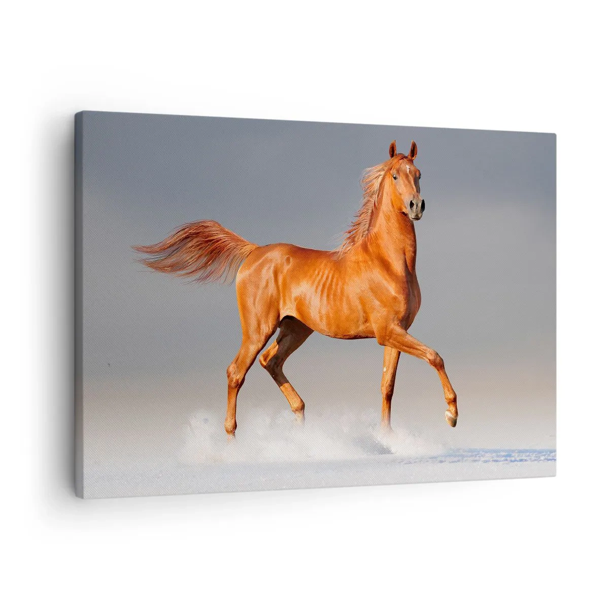 Quadro em tela - Um cavalo galopando contra um céu azul - 70x50cm - Graça Dançante - Decoração de parede moderna para a sala de estar e quarto ARTTOR