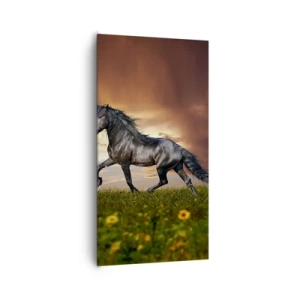 Quadro em tela - O Príncipe Negro - 65x120 cm