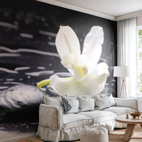 Papel de Parede Premium Canvas - Estudo a preto e branco - Flores, Pedras, Orquídea - 350x256 cm