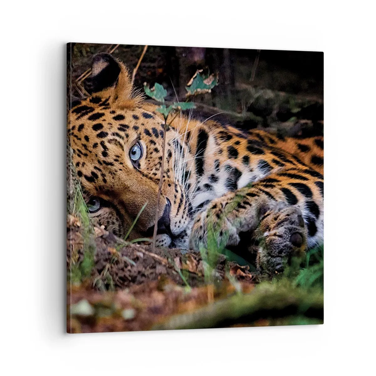 Quadro em tela - Confie em mim - 60x60 cm