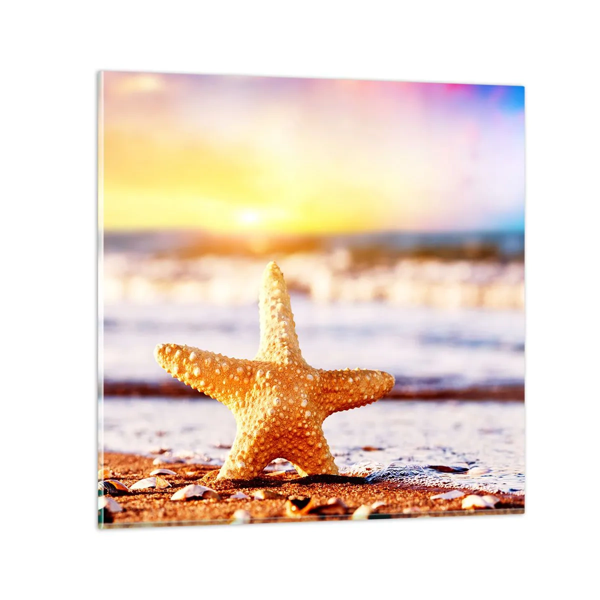 Quadro em vidro - Presente do mar - 70x70 cm