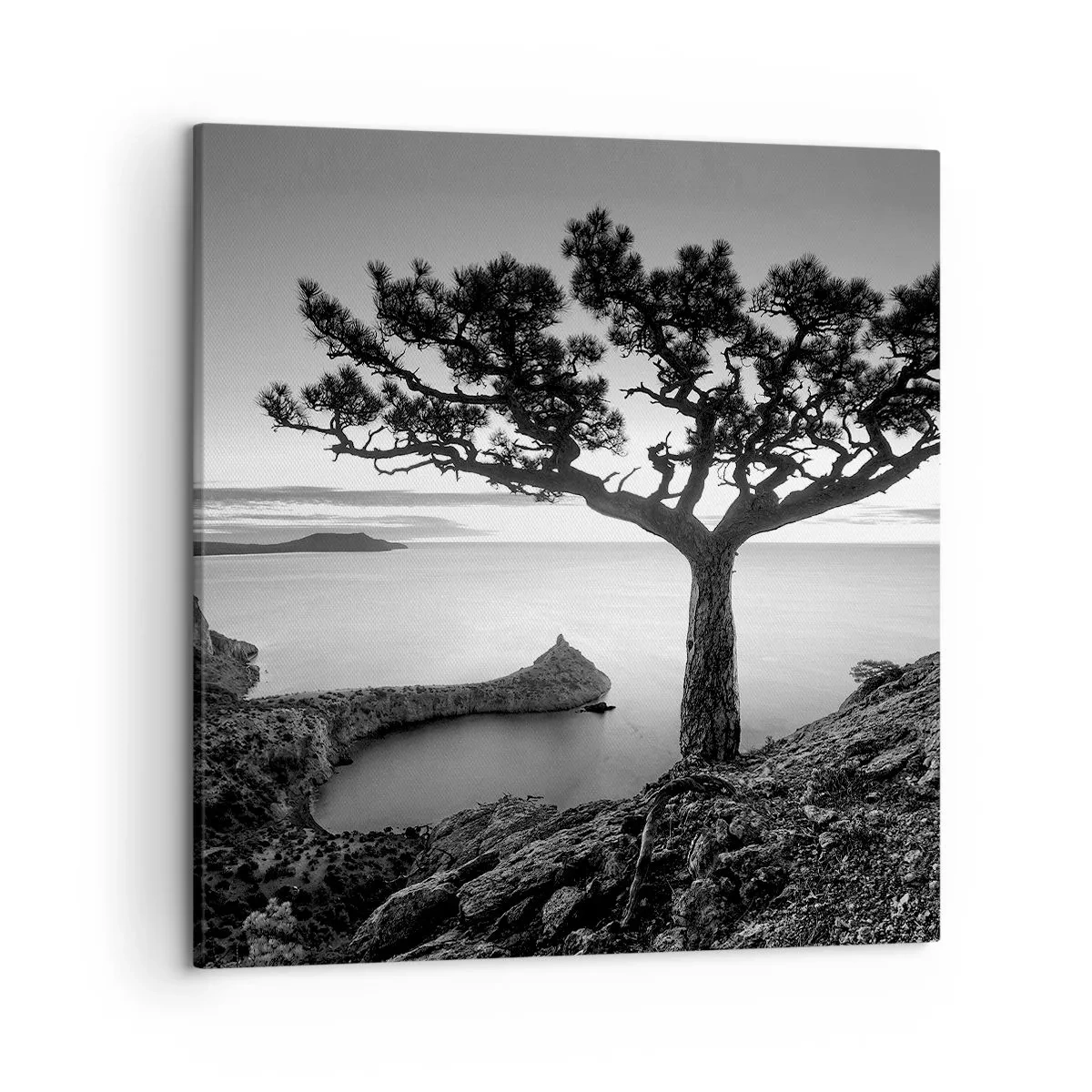 Quadro em tela - Paz até ao horizonte - 50x50 cm