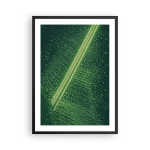 Pôster com moldura preta - Close-up de uma folha verde com gotas de água - 50x70cm - A estrutura da vegetação - Decoração de parede moderna para a sala de estar e quarto ARTTOR