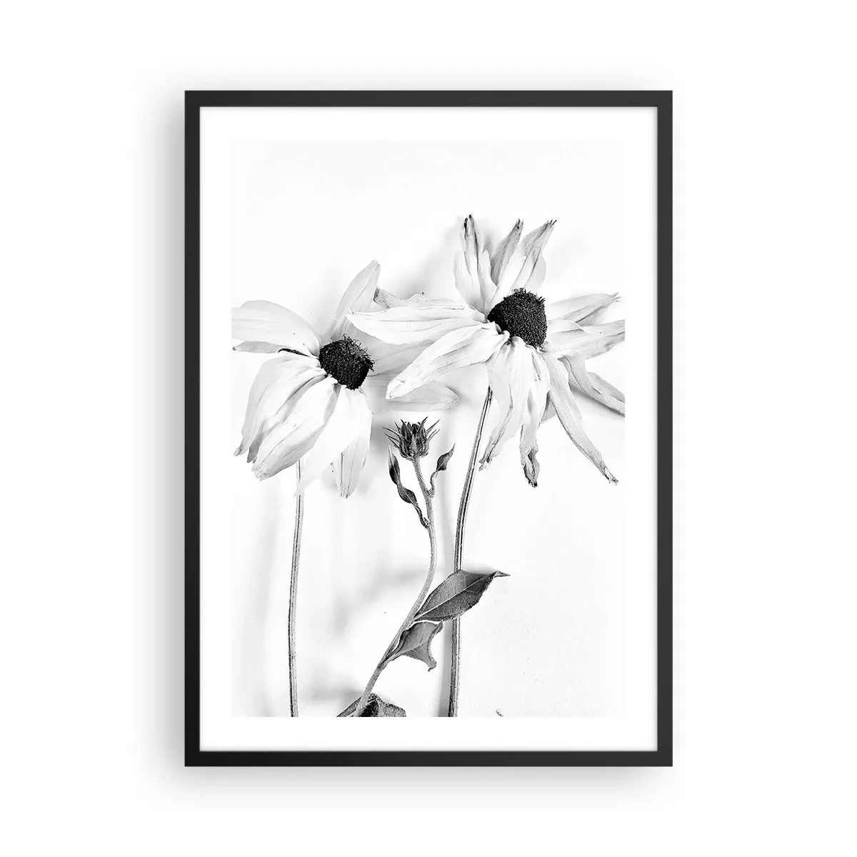 Pôster com moldura preta - Flores pretas e brancas em estilo minimalista sobre fundo claro - 50x70cm - Ninguém quer estar sozinho - Decoração de parede moderna para a sala de estar e quarto ARTTOR