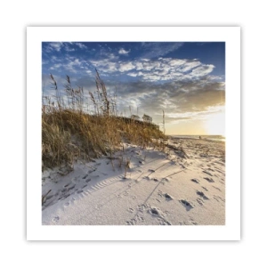 Pôster - Um convite para um passeio - 50x50 cm