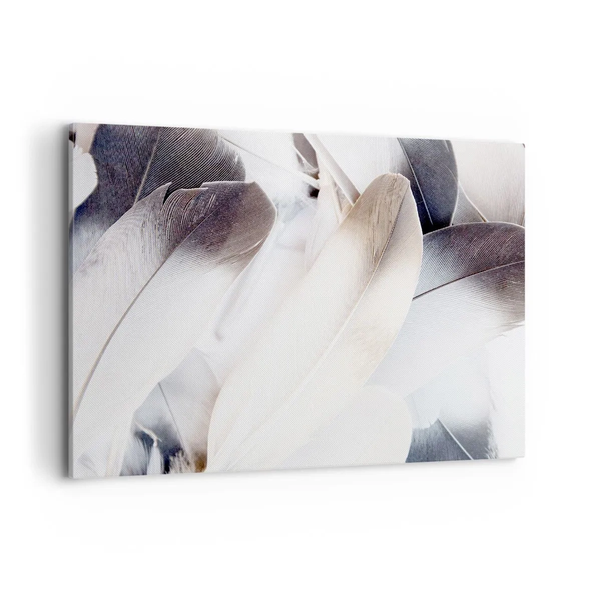 Quadro em tela - Semi-angelical - 100x70 cm