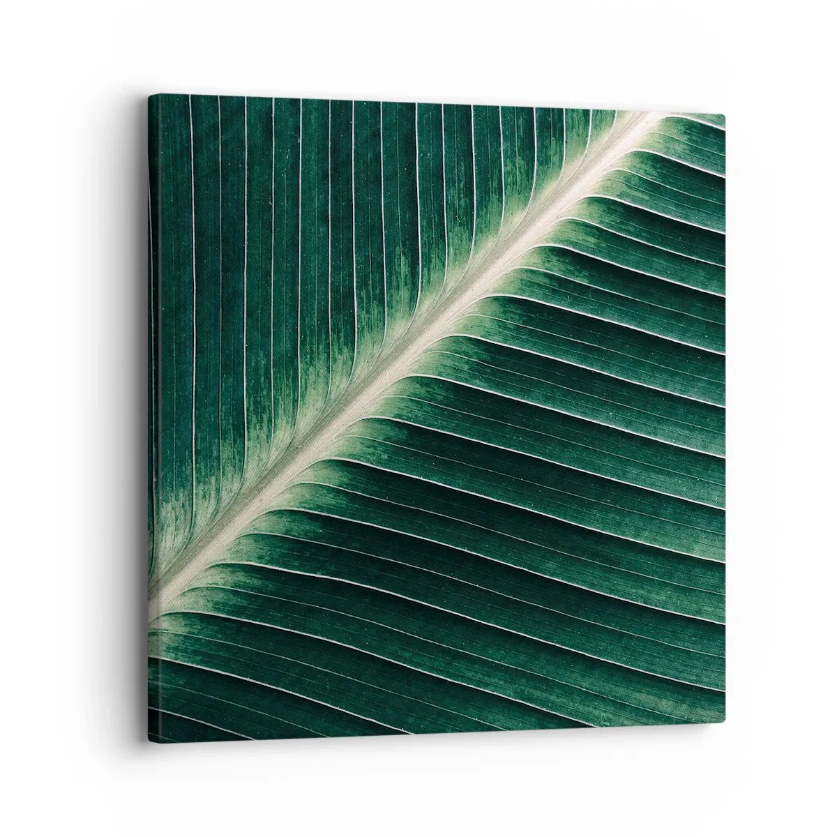Quadro em tela - O ritmo da natureza - 30x30 cm