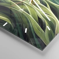 Mostrador com traços