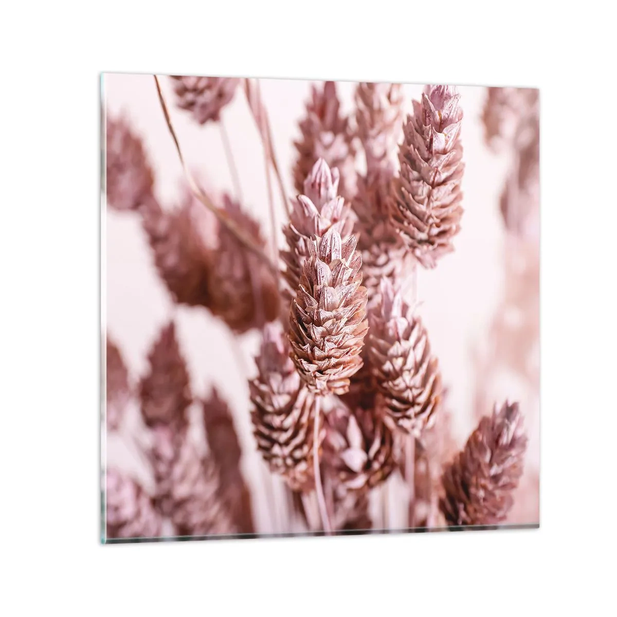 Quadro em vidro - Aparentemente discreto - 40x40 cm