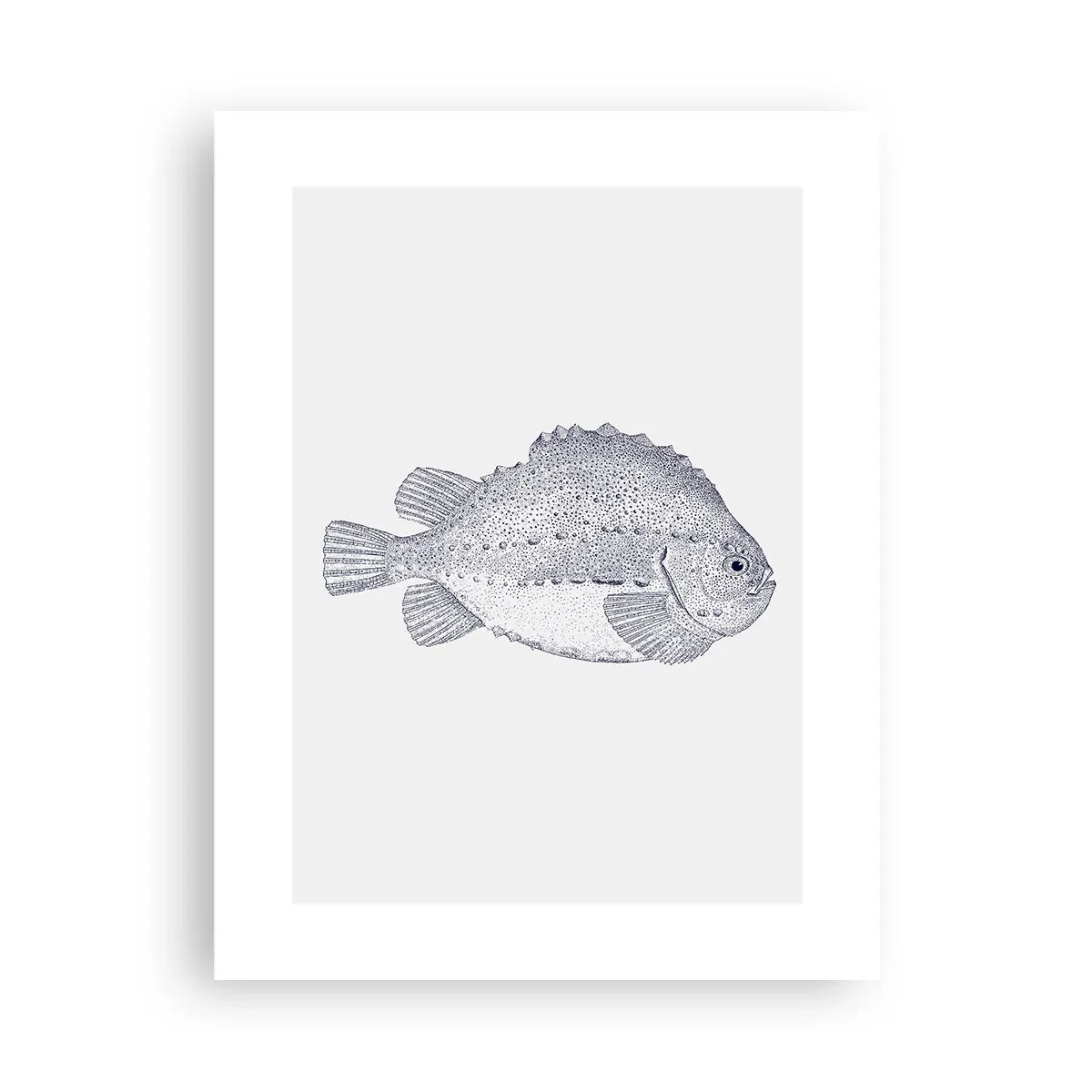 Pôster - Para o álbum do naturalista - 30x40 cm