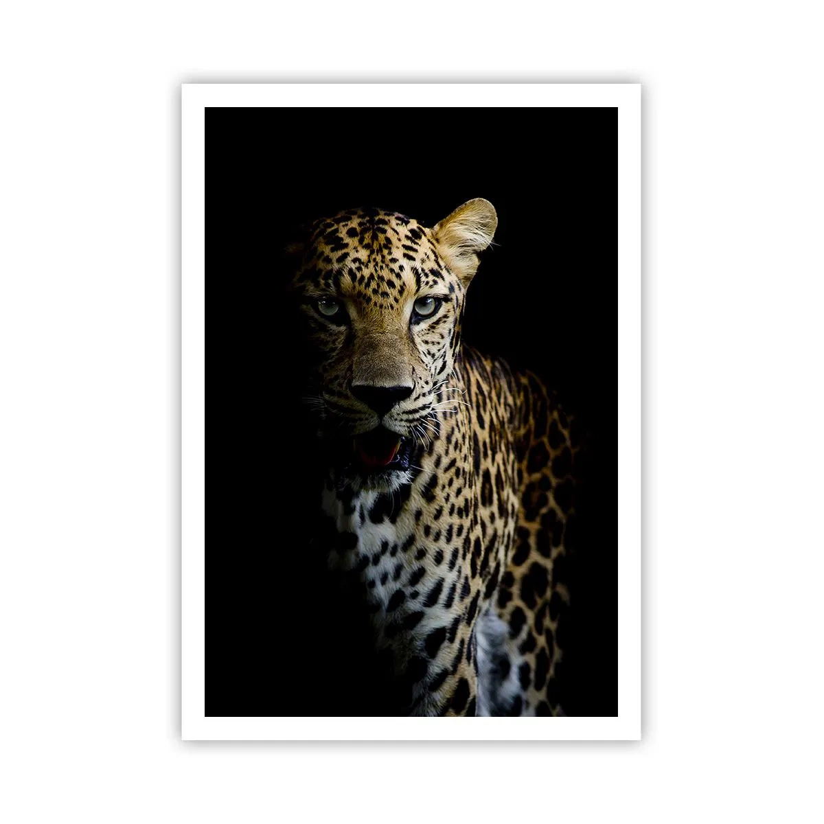 Pôster - Beleza escura - 70x100 cm