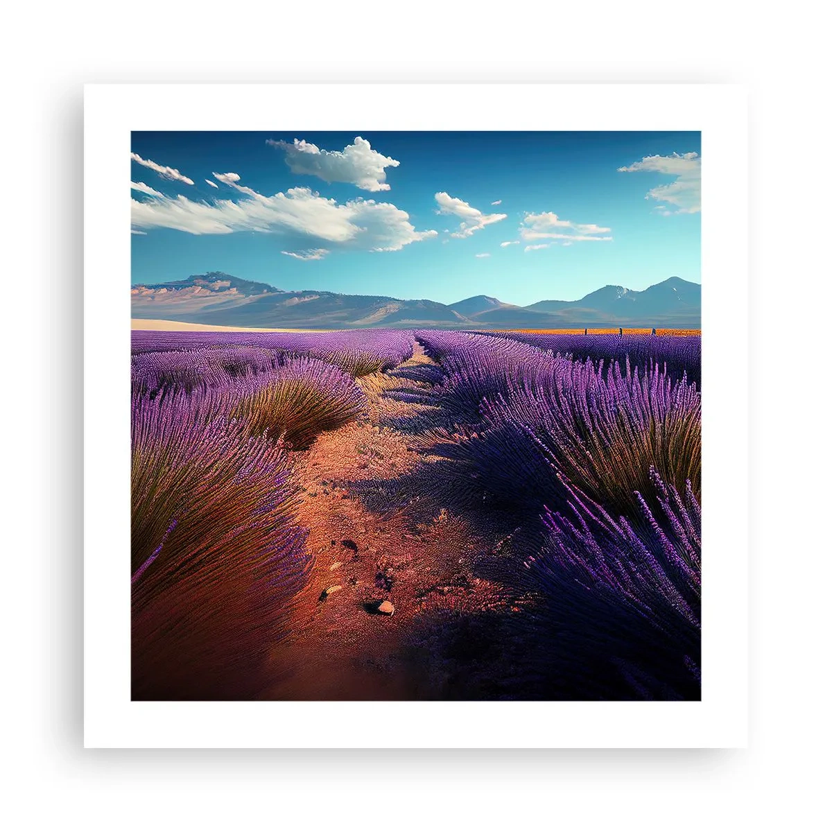 Pôster - Campos perfumados - 50x50 cm