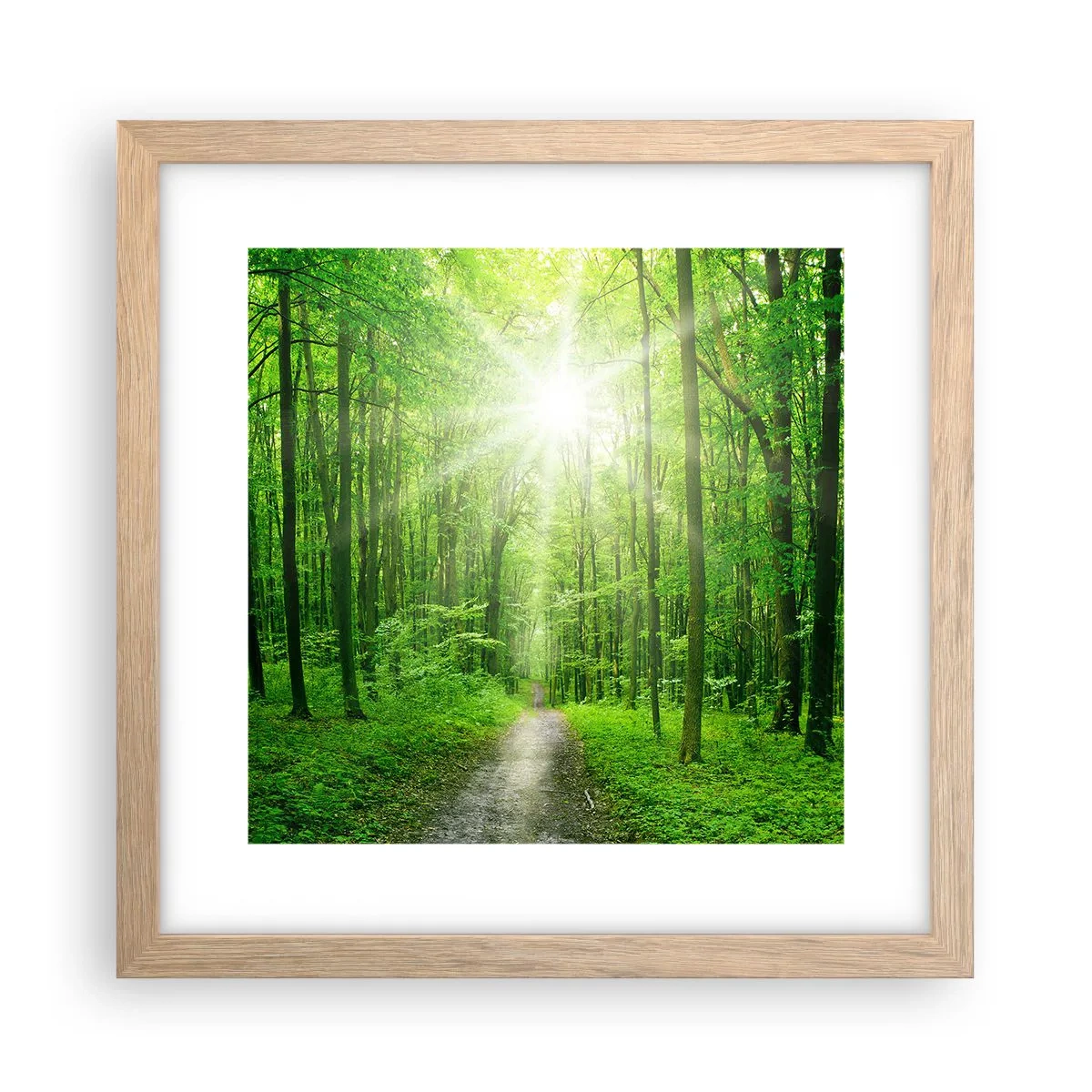 Pôster com moldura de carvalho claro - Catedral Verde - 30x30 cm