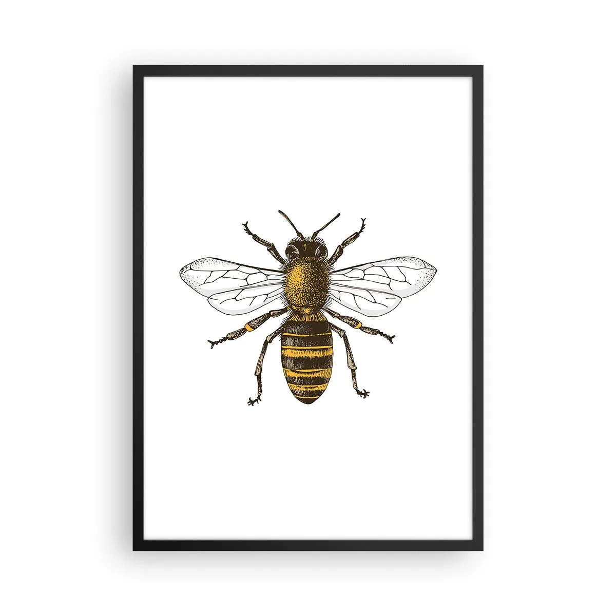 Pôster com moldura preta - Ilustração de detalhe de abelha vintage - 50x70cm - Linda e boa - Decoração de parede moderna para a sala de estar e quarto ARTTOR