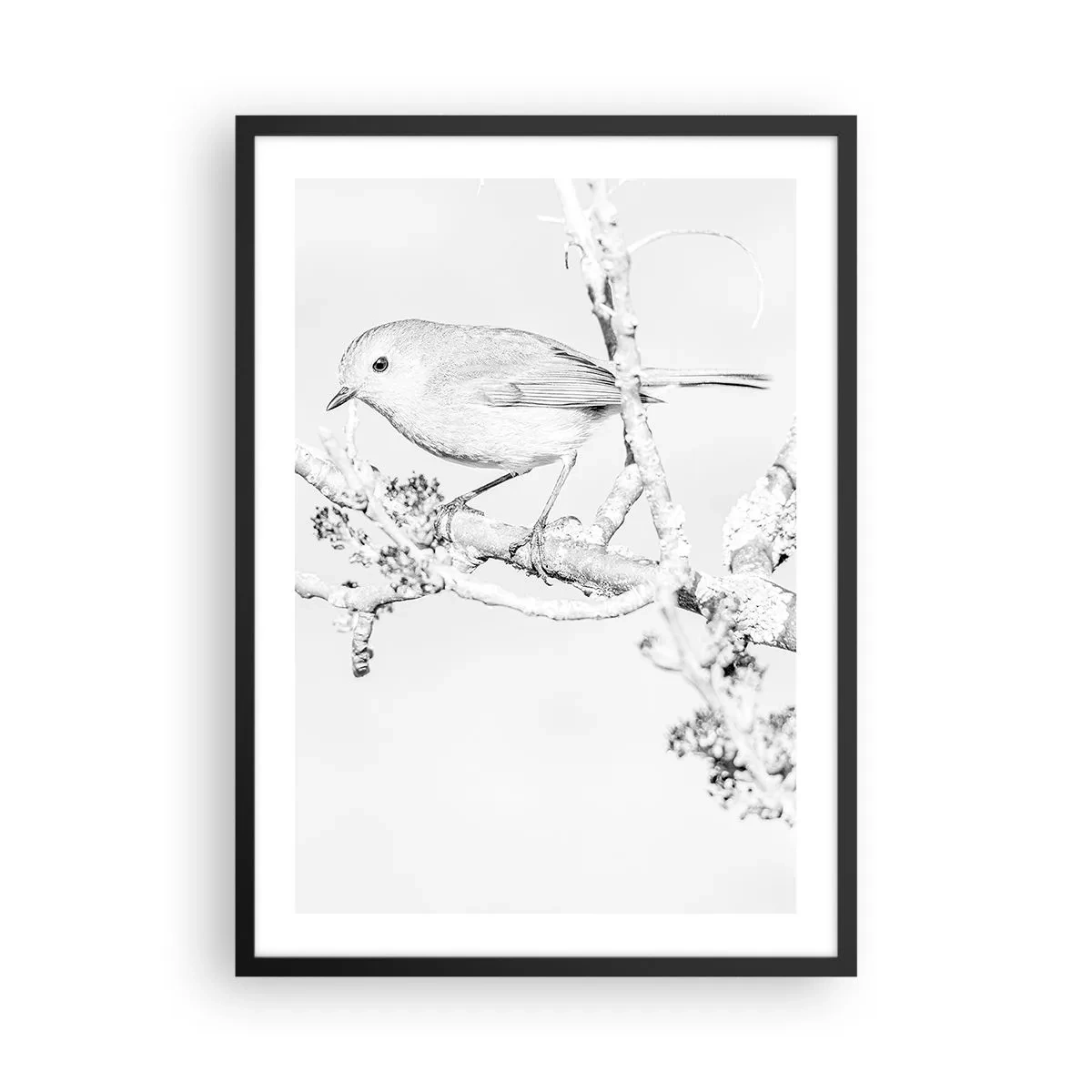 Pôster com moldura preta - Desenho em preto e branco de um pássaro em um galho - 50x70cm - Manhã de inverno - Decoração de parede moderna para a sala de estar e quarto ARTTOR
