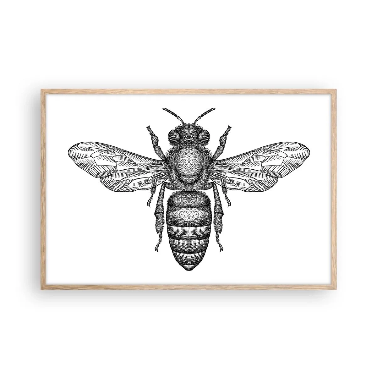 Pôster com moldura de carvalho claro - Retrato de um inseto - 91x61 cm