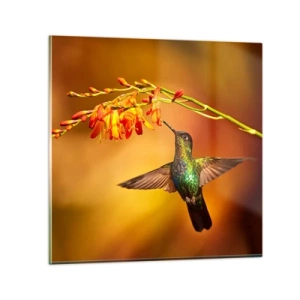 Quadro em vidro - Mensageiro Maia da Luz - 40x40 cm