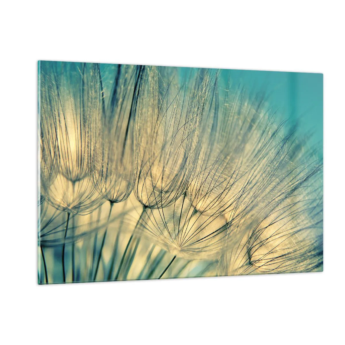 Quadro em vidro - À espera do vento - 120x80 cm