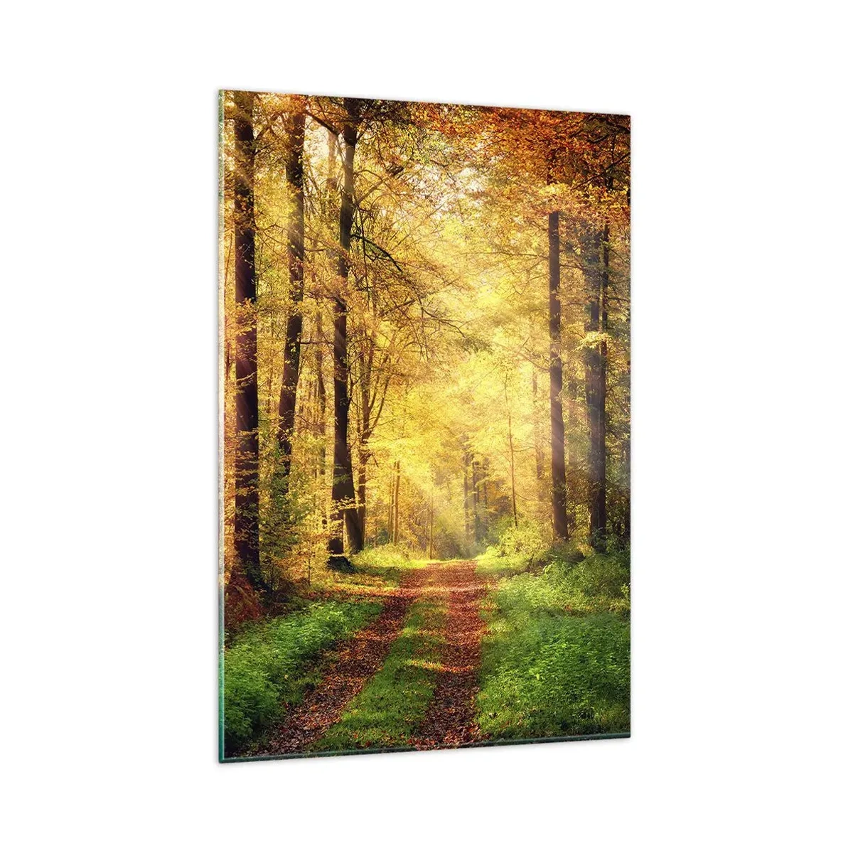 Quadro em vidro - Silêncio dourado da floresta - 80x120 cm