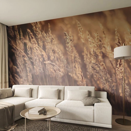 Papel de Parede Premium Sand - Pronto para receber o outono - Paisagem, Espigas de grão, Prado - 250x175 cm