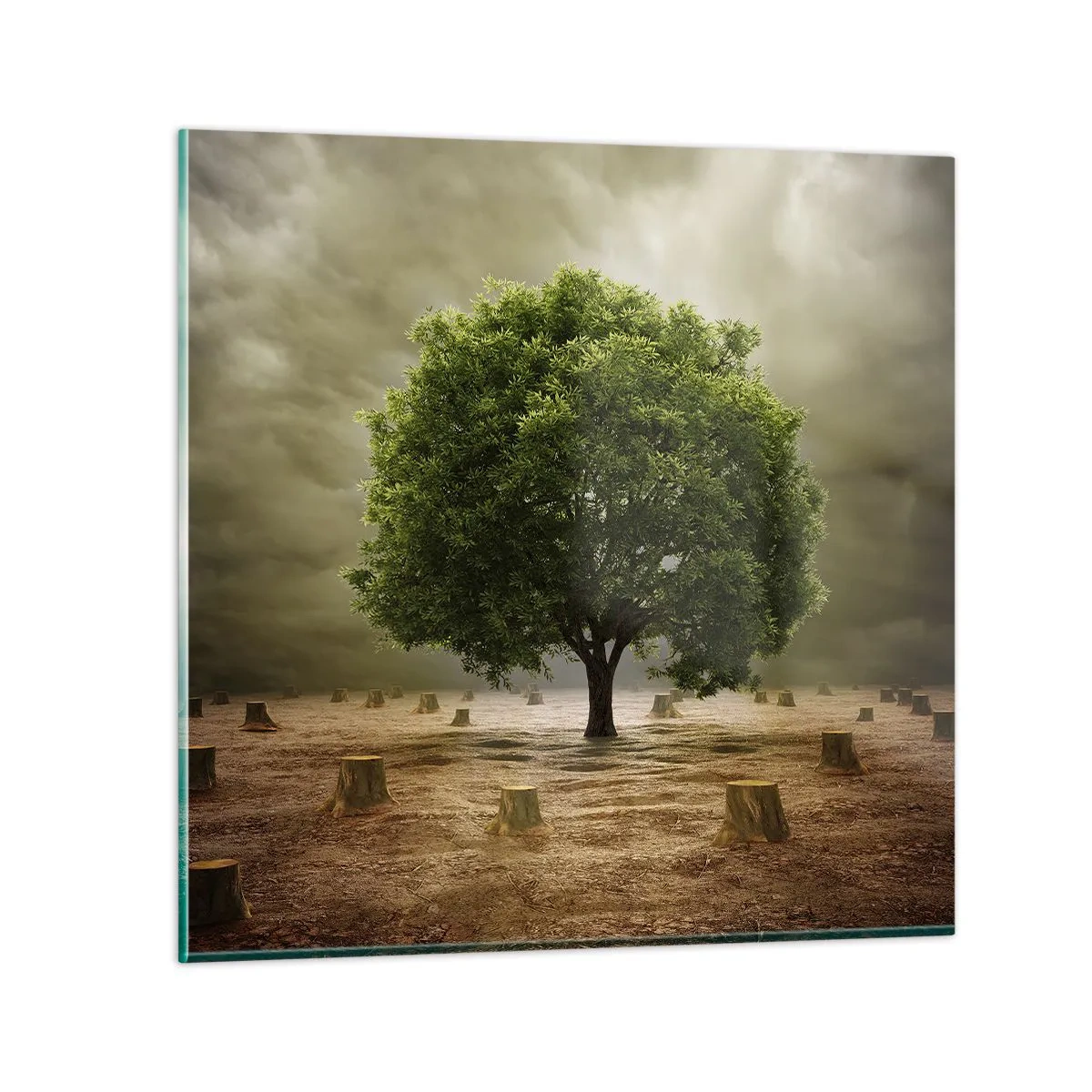 Quadro em vidro - Toda a esperança - 50x50 cm