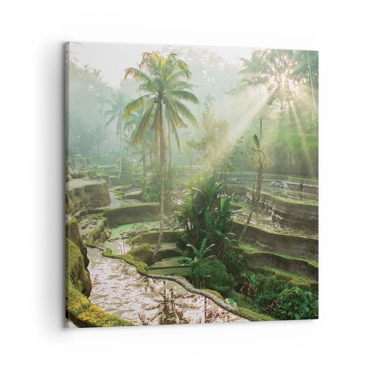 Quadro em tela - Crescer ao sol - 50x50 cm