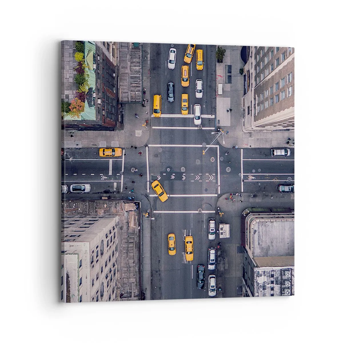 Quadro em tela - Escolha simples - 70x70 cm