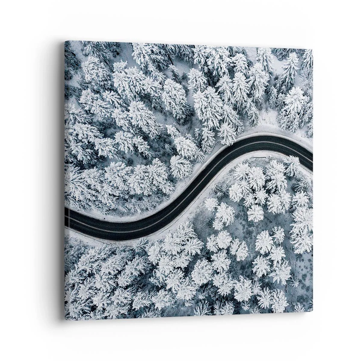Quadro em tela - Pelaa floresta no inverno - 40x40 cm